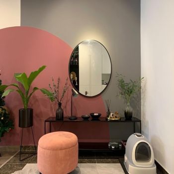 Thiết kế căn hộ phong cách Block Color